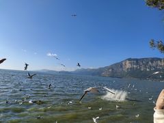 -滇池海埂公园