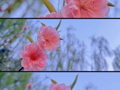 -陶然亭公园