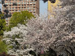 -堤角公园