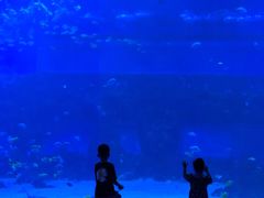 -南昌融创海世界