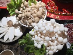 -七里川健康火锅(总店)
