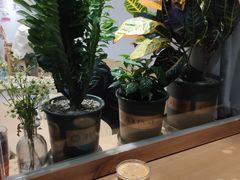 -infinite cafe