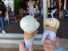 -Dooley's Premium Ice Cream