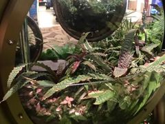-樟宜机场T4航站楼