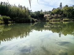 -成都大熊猫繁育研究基地