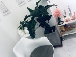 -紫御国际抗衰ZOE ANTI AGING