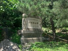 -白水寺森林公园