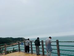 -广东惠东海龟国家级自然保护区