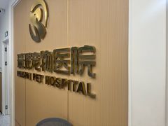 -瑞派康怡24h宠物医院·犬猫医疗中心·微创绝育(瑞景分院)