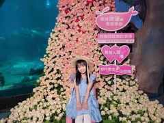 -福州罗源湾海洋世界旅游区