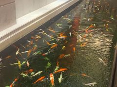 -龙悦湾酒家·八阵鱼生·渔人码头店