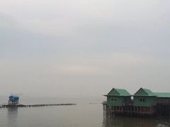 -海鸥岛