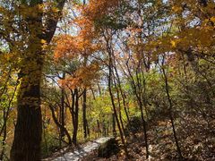 -玉渡山自然风景区