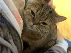 -万小咖.猫咖(中山路天虹店)