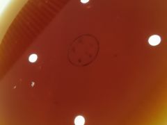 -西塔大冷面(市府大路店)