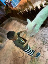 -宝燕乐园(闵行旗舰店)