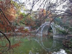 -深圳仙湖植物园