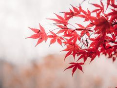 -浮槎山