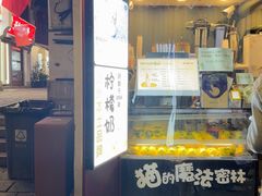-猫的魔法密林(衣裳街店)