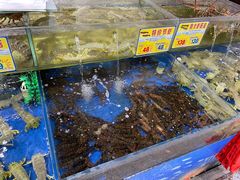 -东江海鲜酒家(艺都分店)