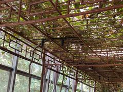 -金稼园·金平湖农家菜