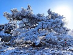 -泰山风景名胜区