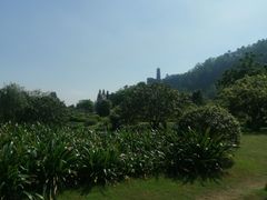-南沙蒲洲花园