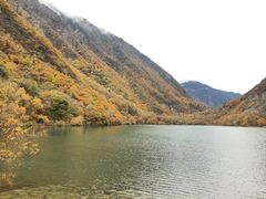 -叠溪松坪沟景区