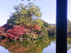 -西湖外事游船(花港观鱼码头)