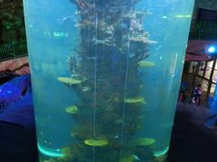 -青岛嘉年华主题乐园