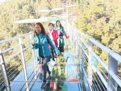 -九龙江国家森林公园