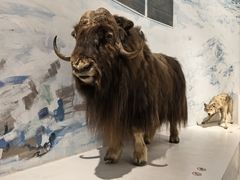 -重庆自然博物馆(新馆)