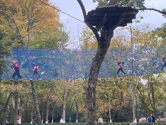-WeLope紫金山探险公园