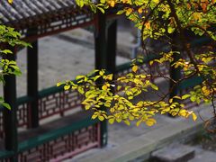 -颐和园