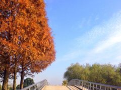 -上海月湖雕塑公园