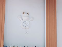 -乐派堂宠物医院·猫友好· 心脏科(东街店)