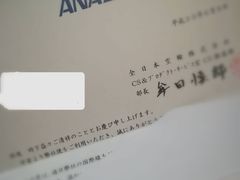 -全日本空输株式会社(上海办事处)