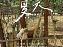 -呀路古热带植物园