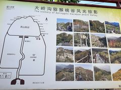 -大岭沟猕猴桃谷风景区
