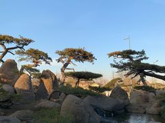 -罗红摄影艺术馆