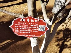-北宫国家森林公园