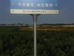 -江苏三台山国家森林公园