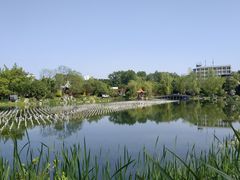 -北湖公园