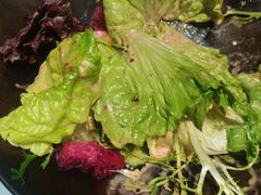 -老板恋上鱼(印象城店)