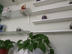 -弘医堂医院-中医科