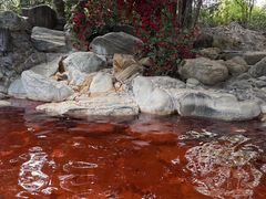 -湖泉半山温泉(湖泉生态园)