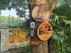 -同里国家湿地公园