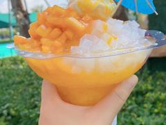 -苏州湾梦幻水世界