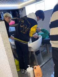 -藤野造型