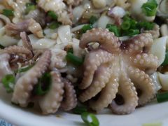 八爪鱼-荔林食店(西华路店)